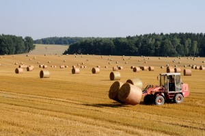 Harvest In Idaho